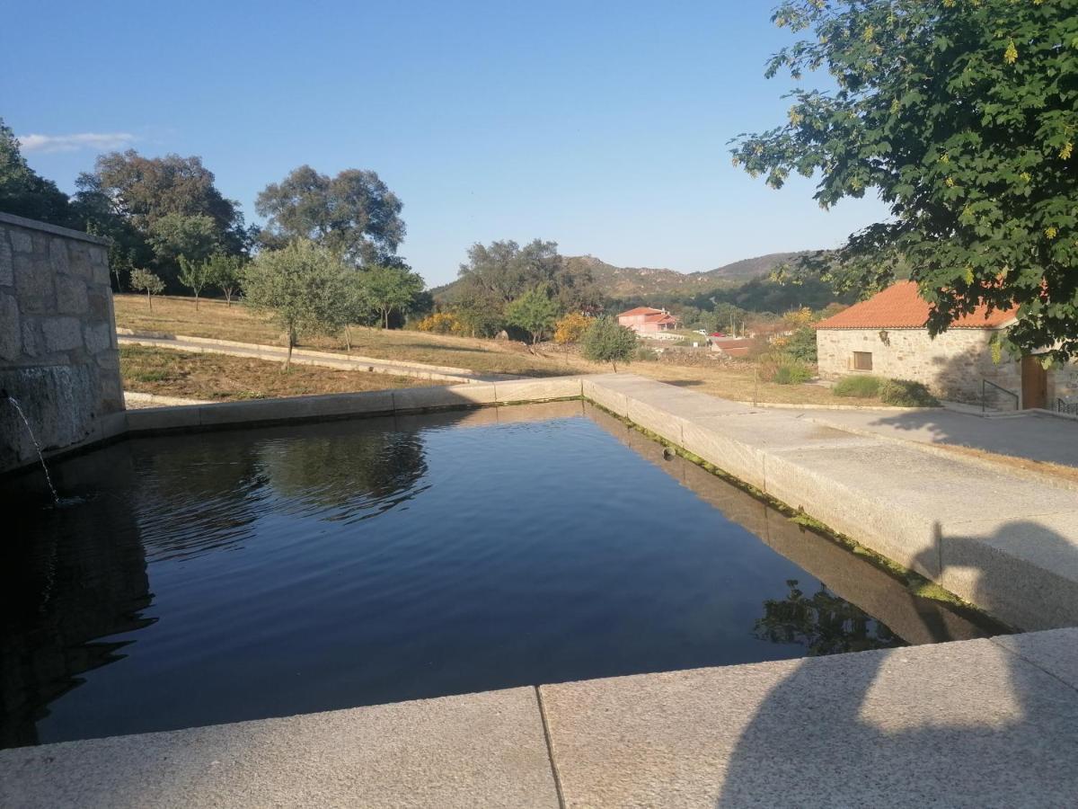 Lirios Da Granja - Casa De Campo Eksteriør bilde